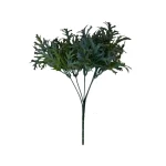 Alga Cenizo