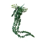 Colgante Senecio