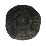 Coral Chico Negro