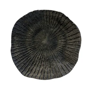 Coral Chico Negro