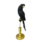 Cotorro Negro