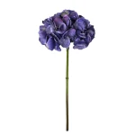 Hortensia Lila