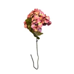 Hortensia Rosa