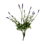 Lavanda 8 Varas