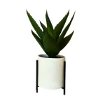 Maceta Aloe