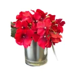 Maceta Hortencia Roja