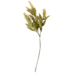 Pampa Verde