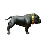 Perro Tino
