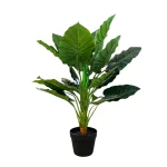 Planta Málaga