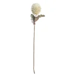 Vara Flor Foam Crema