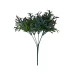 Alga Cenizo