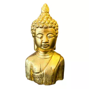 Busto Buda Cavernas