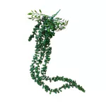 Colgante Senecio