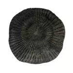 Coral Chico Negro
