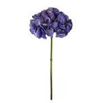 Hortensia Lila