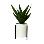 Maceta Aloe