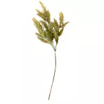 Pampa Verde