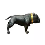 Perro Tino