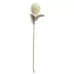 Vara Flor Foam Crema