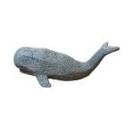 Ballena Telma