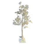 Árbol Hoja Maple Blanca