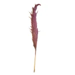 Carrizo Tinto
