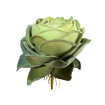 Rosa Suculenta