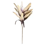Vara Bromelia