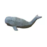 Ballena Telma