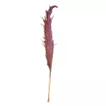 Carrizo Tinto