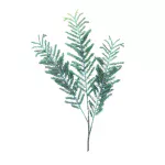 Follaje Rama Verde