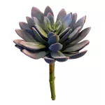 Planta Suculenta Artificial