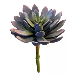 Planta Suculenta Artificial
