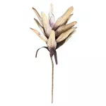 Vara Bromelia