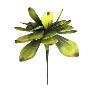 Yucca Bush