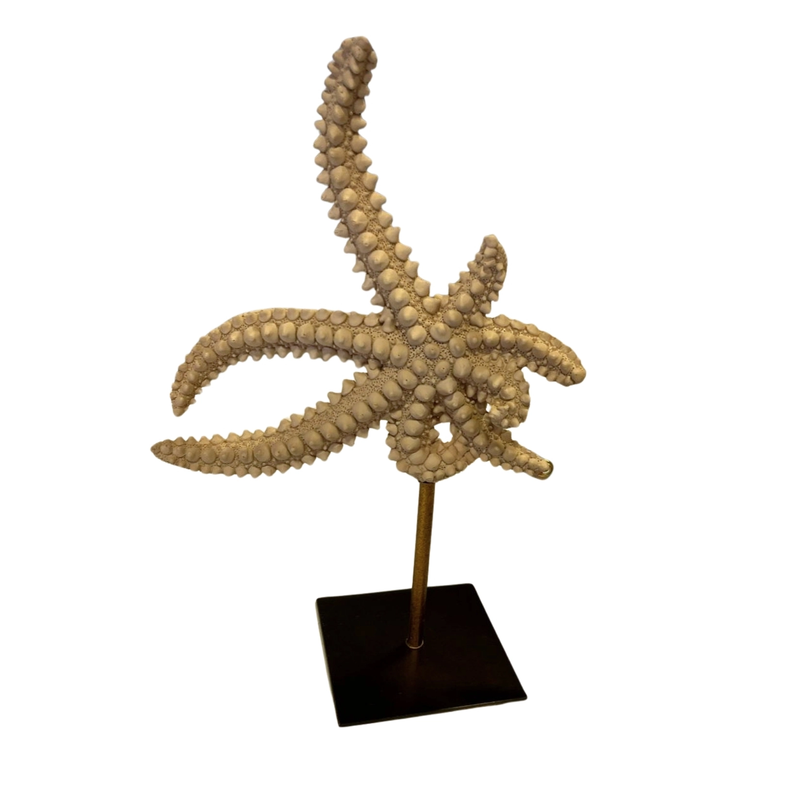 Escultura Estrella de Mar