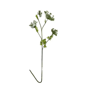 Flor Silvestre Blanca