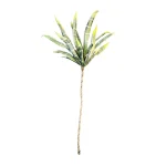 Vara Agave