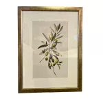 Cuadro Giclee Greensh 1
