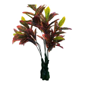 Planta Croto