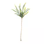 Vara Agave
